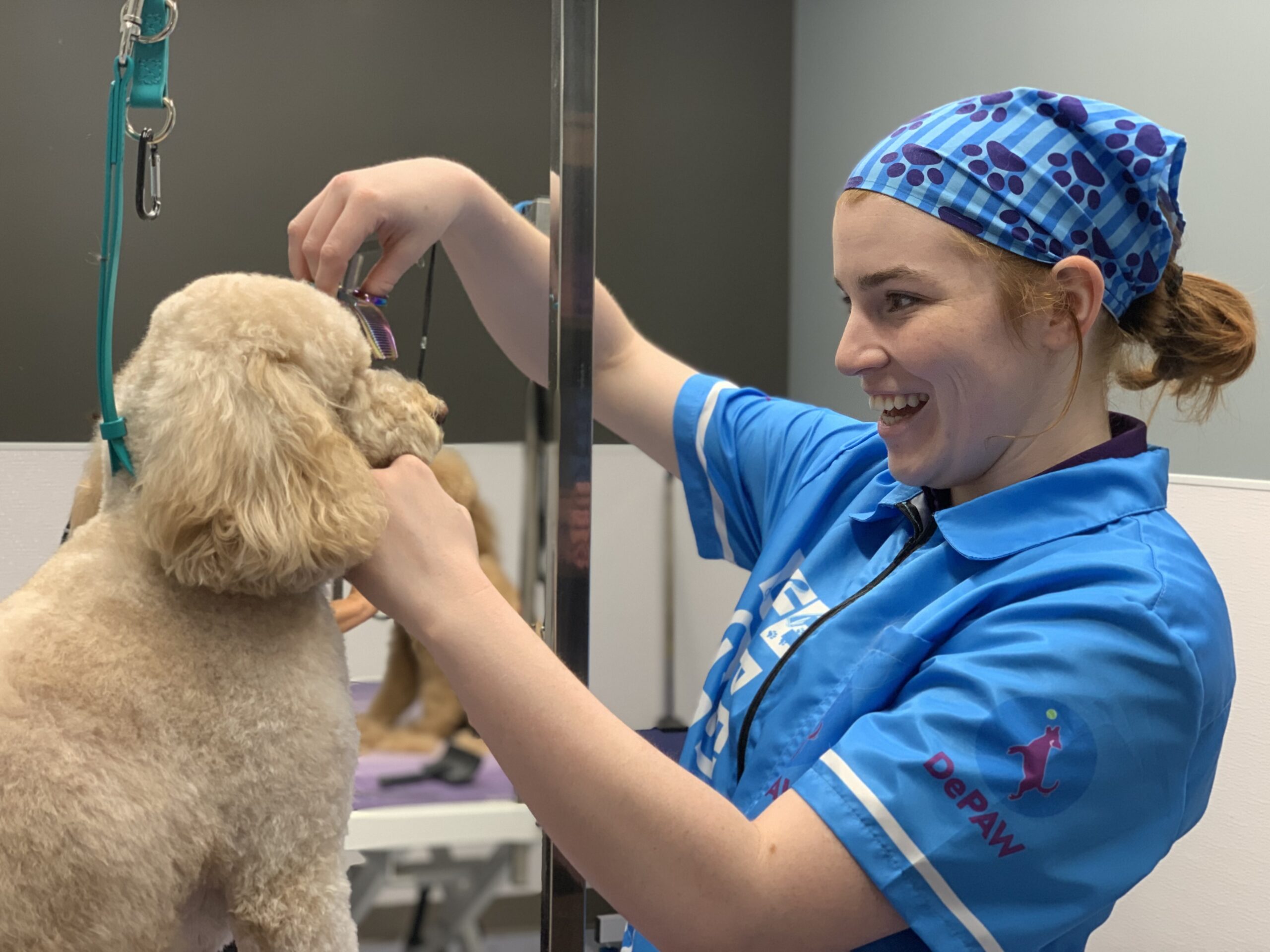 dog with shampoo using DePAWs professional grooming and spa services